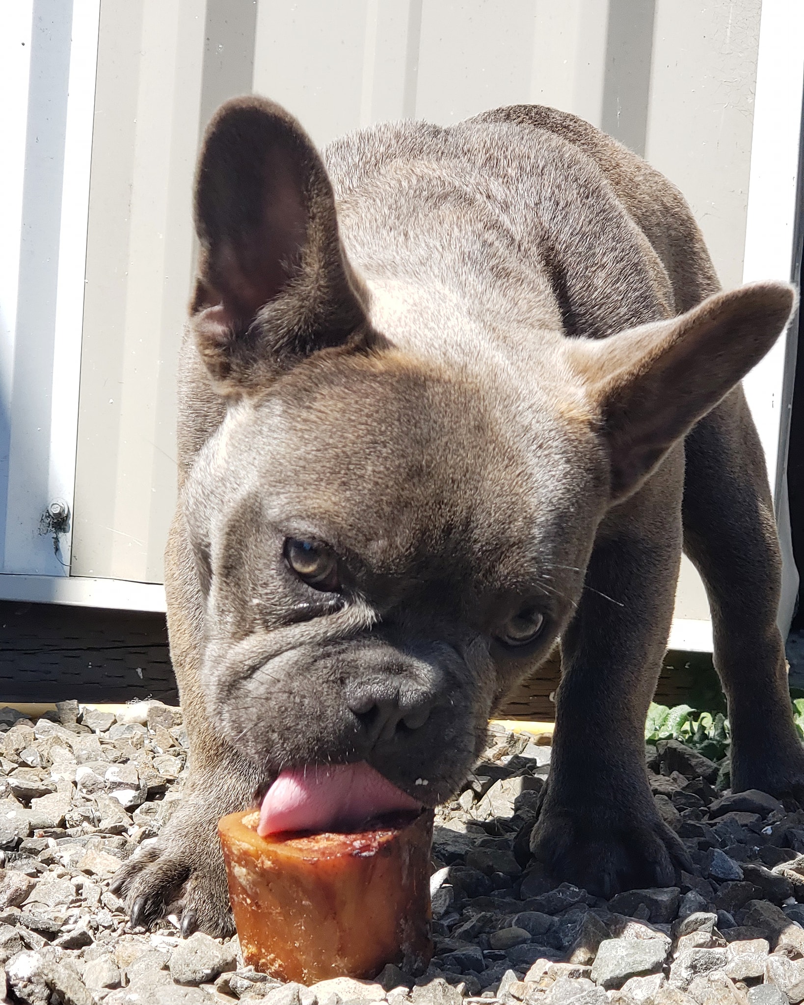 93574203_861717461010406_4400621640350695424_o